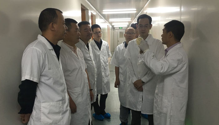 永嘉县委项光夫部长携各级领导一行莅临我司指导工作